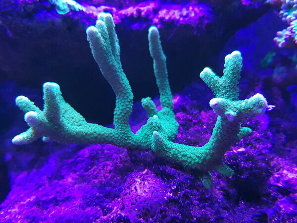 20181215_223947.jpg
