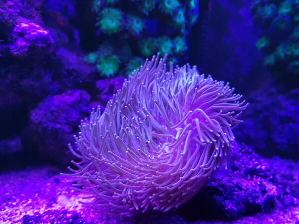 20181215_223953.jpg