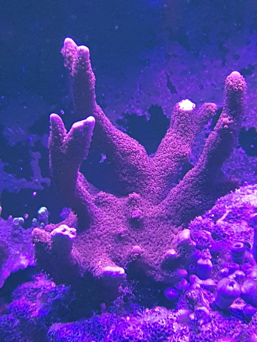 20181215_224025.jpg