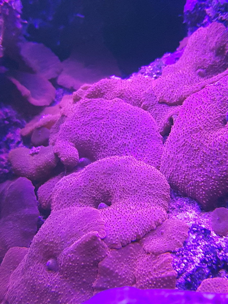 20181215_224041.jpg
