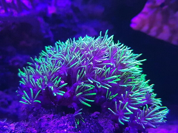 20181215_224054.jpg