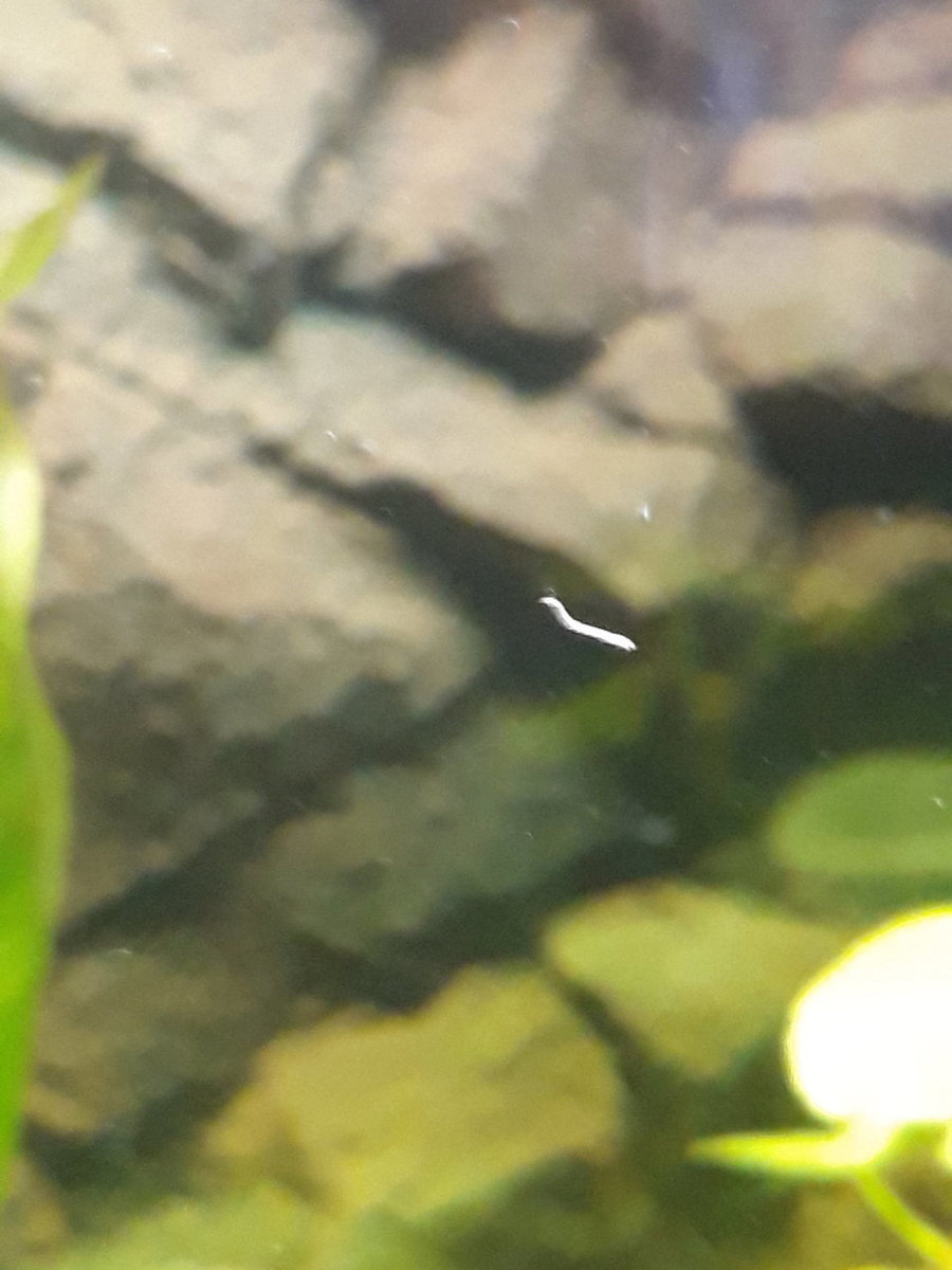 20181227_113007.jpg