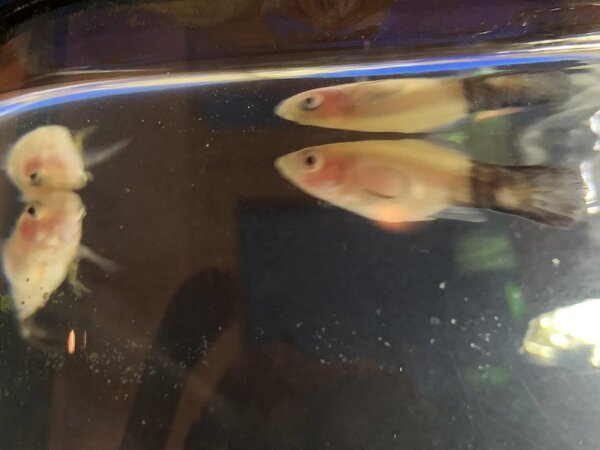 2019-01-06 16.54.02.jpg