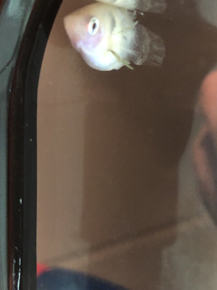 2019-01-06 17.37.52.jpg