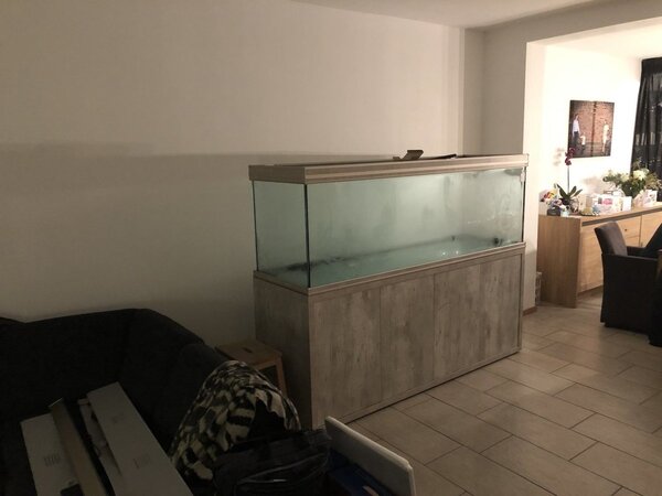 2019-01-10 20.50.21.jpg
