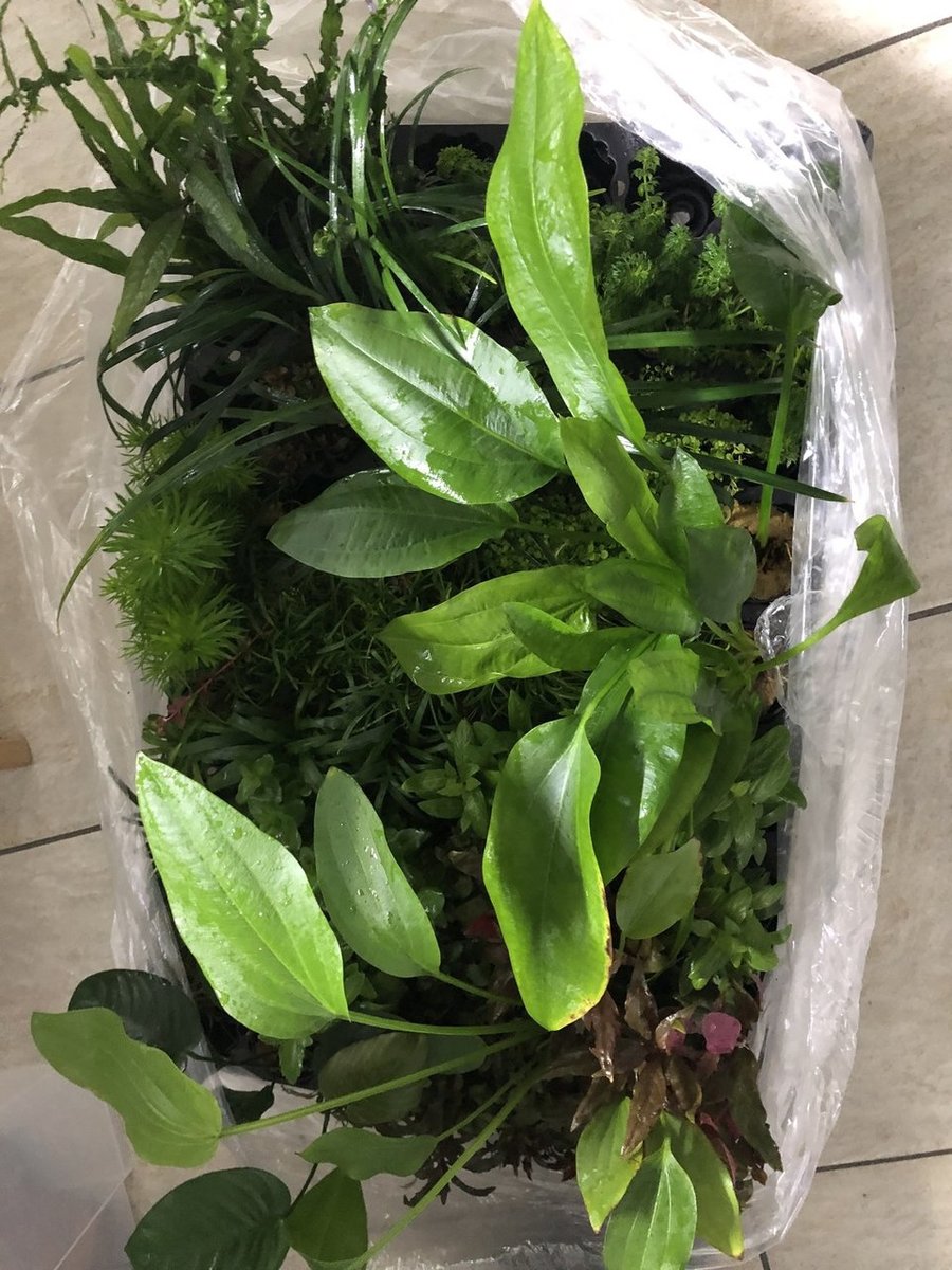 2019-01-16 15.58.48.jpg