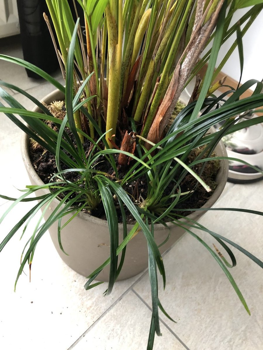 2019-01-19 13.46.13.jpg
