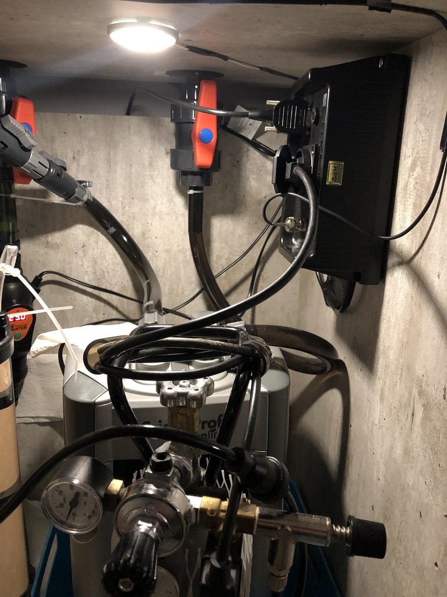 2019-01-19 19.59.22.jpg