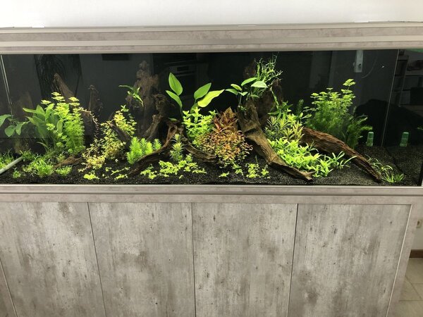 2019-01-23 13.39.26.jpg