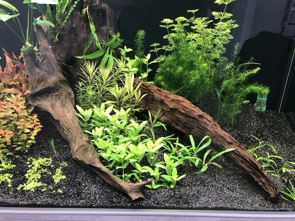 2019-01-23 13.39.31.jpg