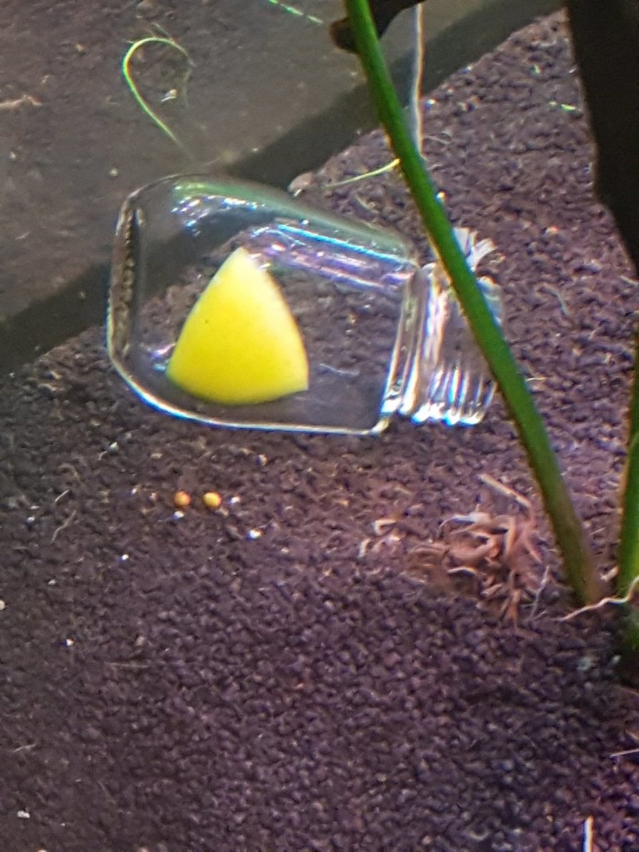 2019-06-16 12.22.48.jpg