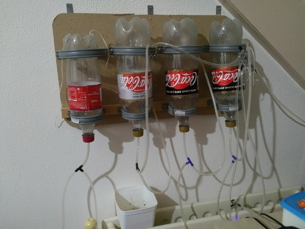 2019-06-27 20.17.34.jpg