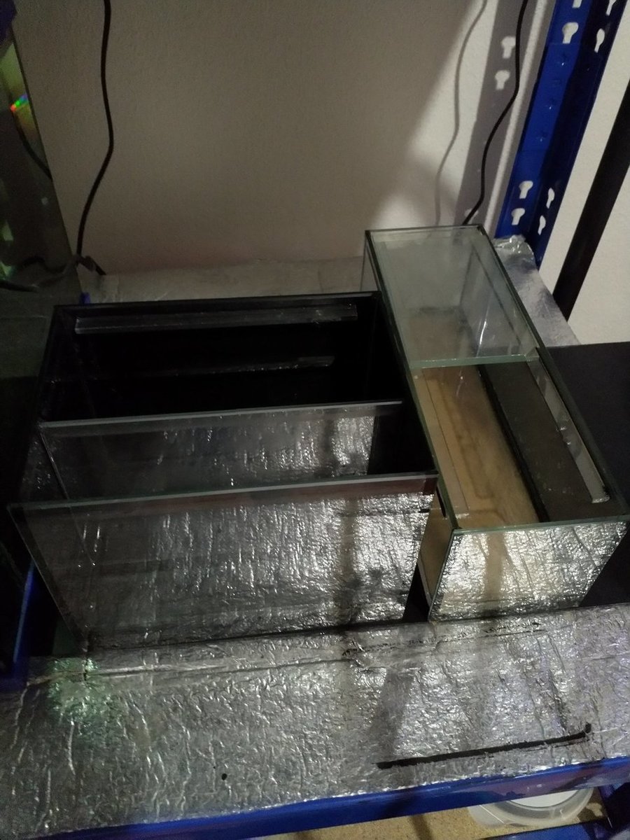 2019-06-27 20.26.34.jpg