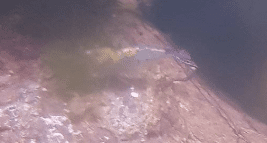 2019-11-18_130147.png