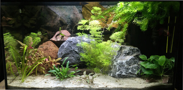 2019-12-29.JPG