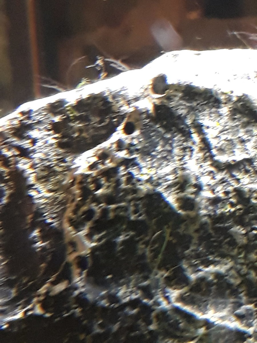 20190111_203747.jpg