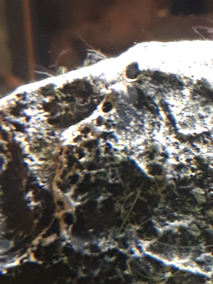 20190111_203748.jpg