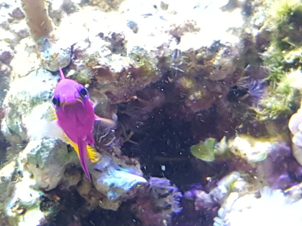 20190113_131418.jpg