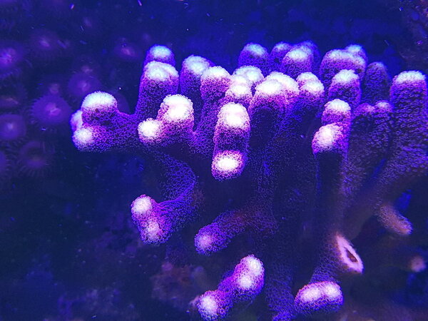 20190115_222053.jpg