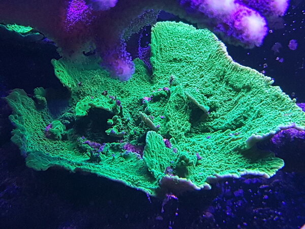 20190115_222212.jpg