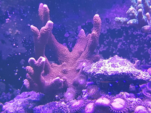 20190115_222223.jpg