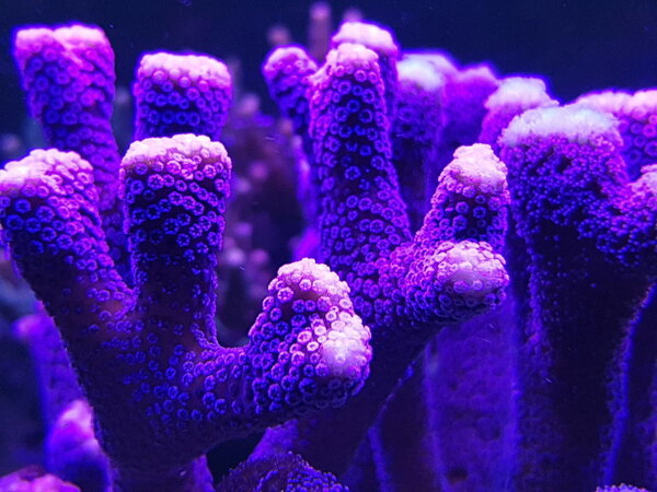 20190115_222245.jpg