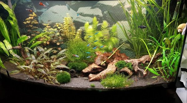 20190119_102557.jpg
