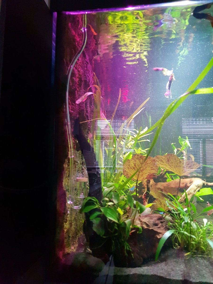 20190122_130020.jpg