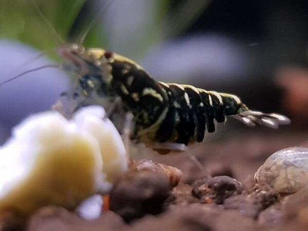 20190127_170518.jpg