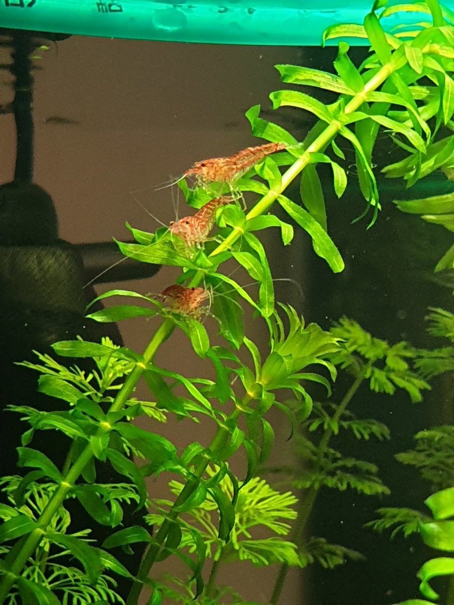 20190128_164642.jpg
