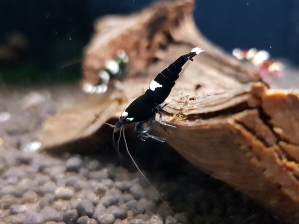 20190128_190940.jpg