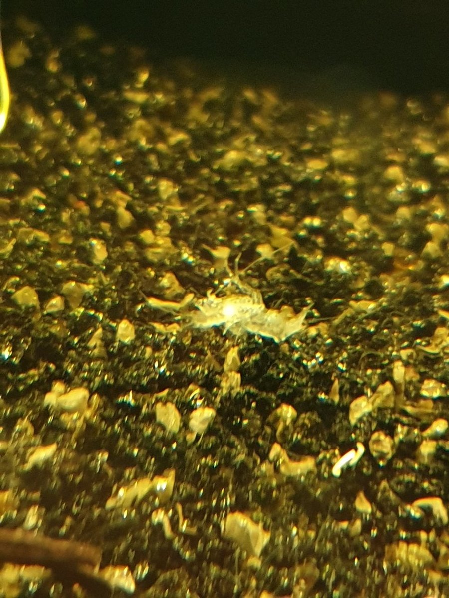 20190130_193824.jpg