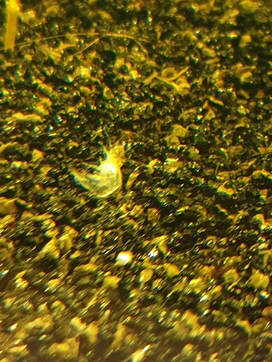 20190130_193846.jpg