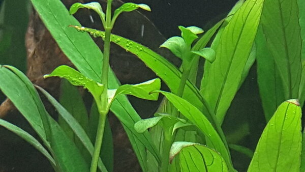 20190224_210813.jpg