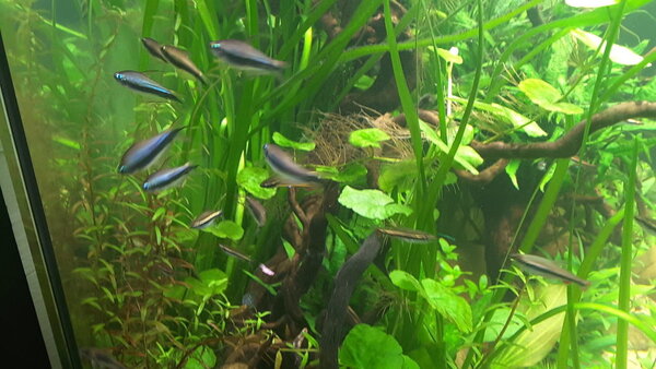 20190301_165423.jpg