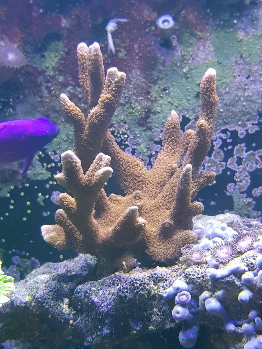 20190303_124548.jpg
