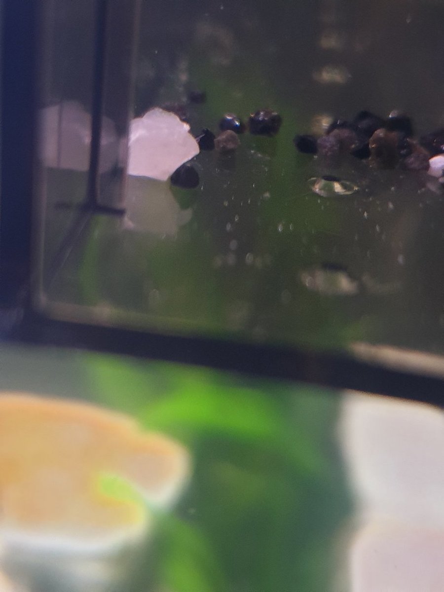 20190310_121746.jpg