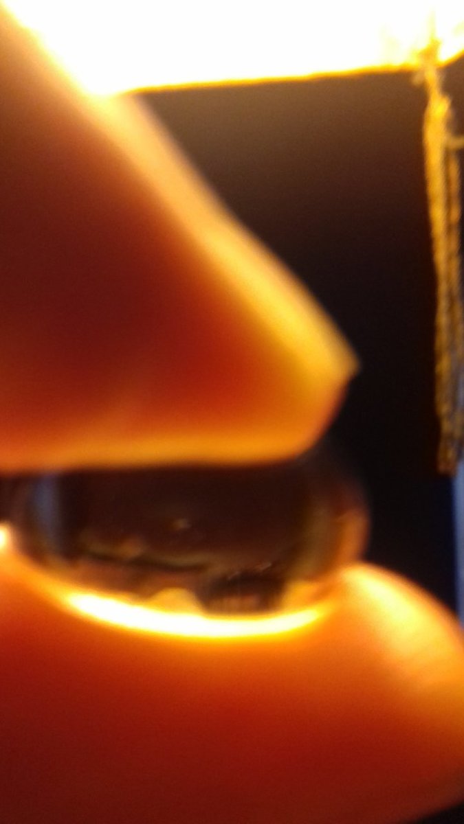 20190314_124805.jpg