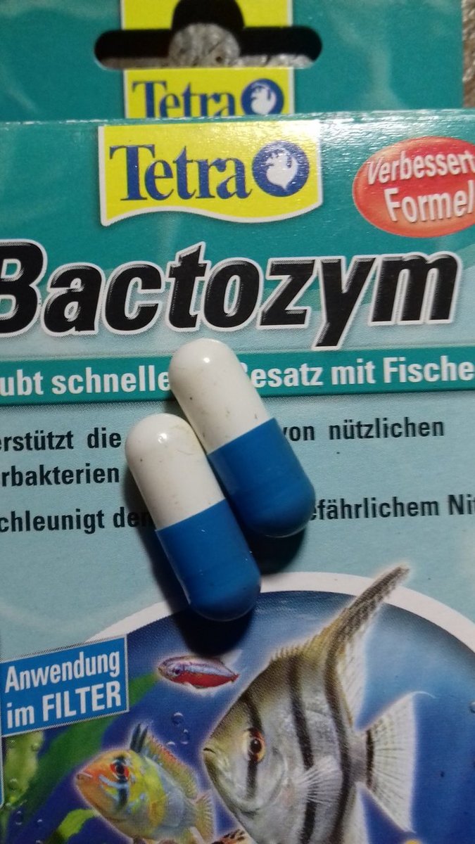 20190314_145317.jpg