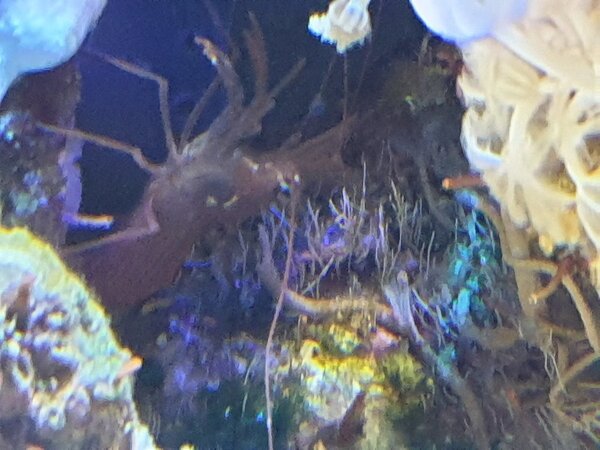 20190317_113331.jpg
