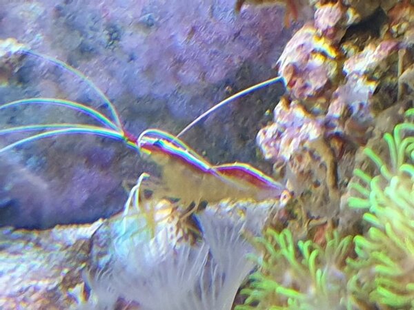 20190317_113336.jpg