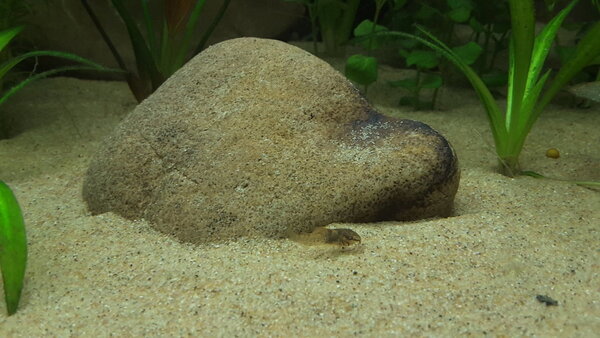 20190317_170005.jpg