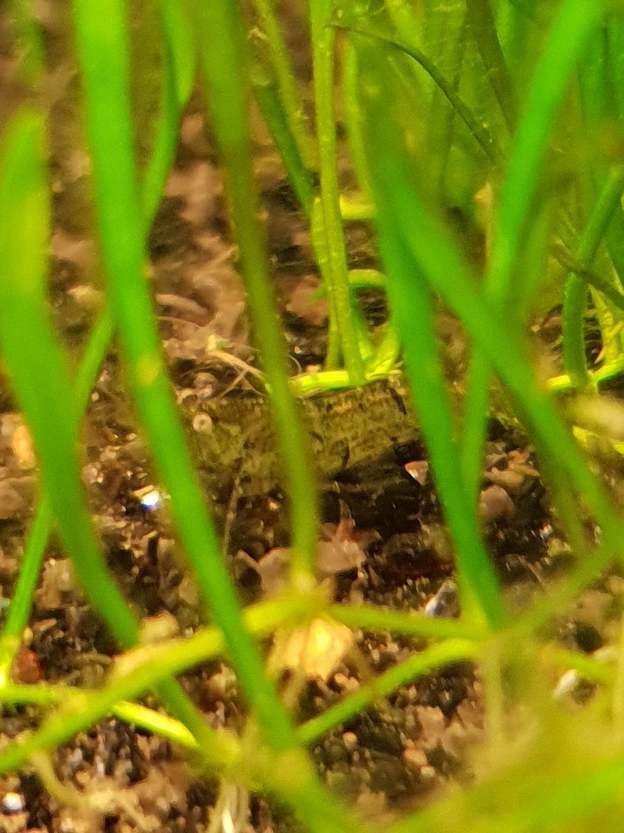 20190323_102751.jpg