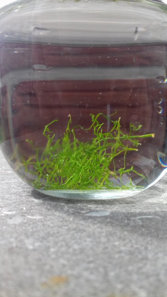 20190325_141549.jpg