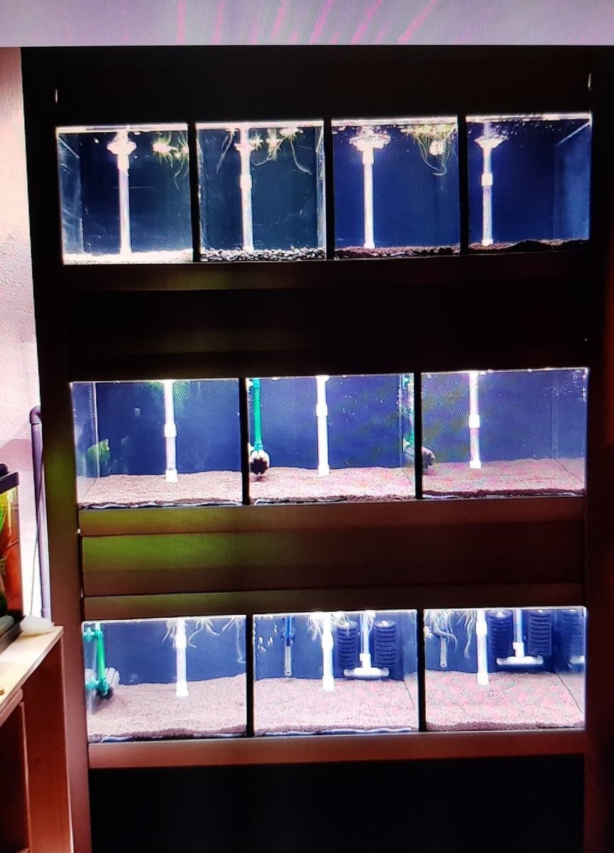 20190325_204727.jpg