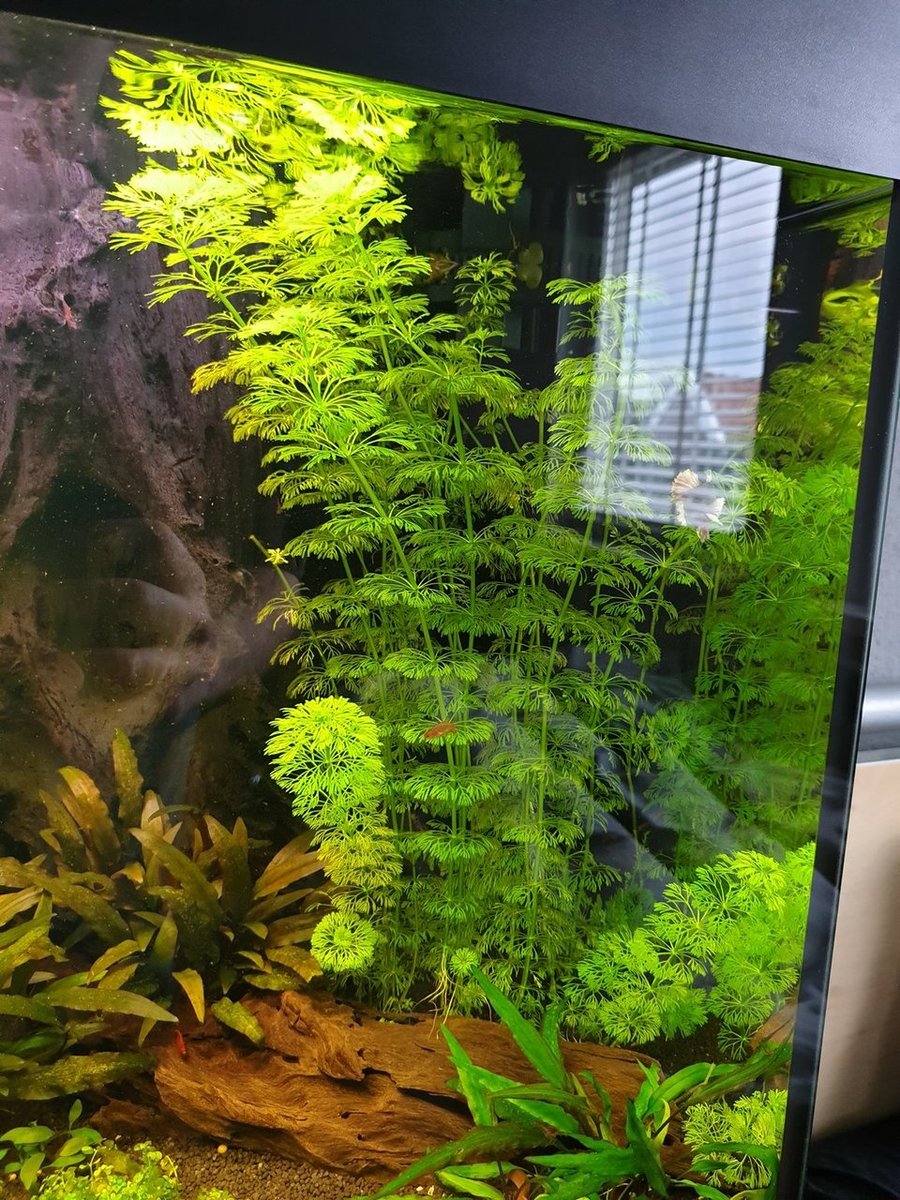 20190327_160148.jpg