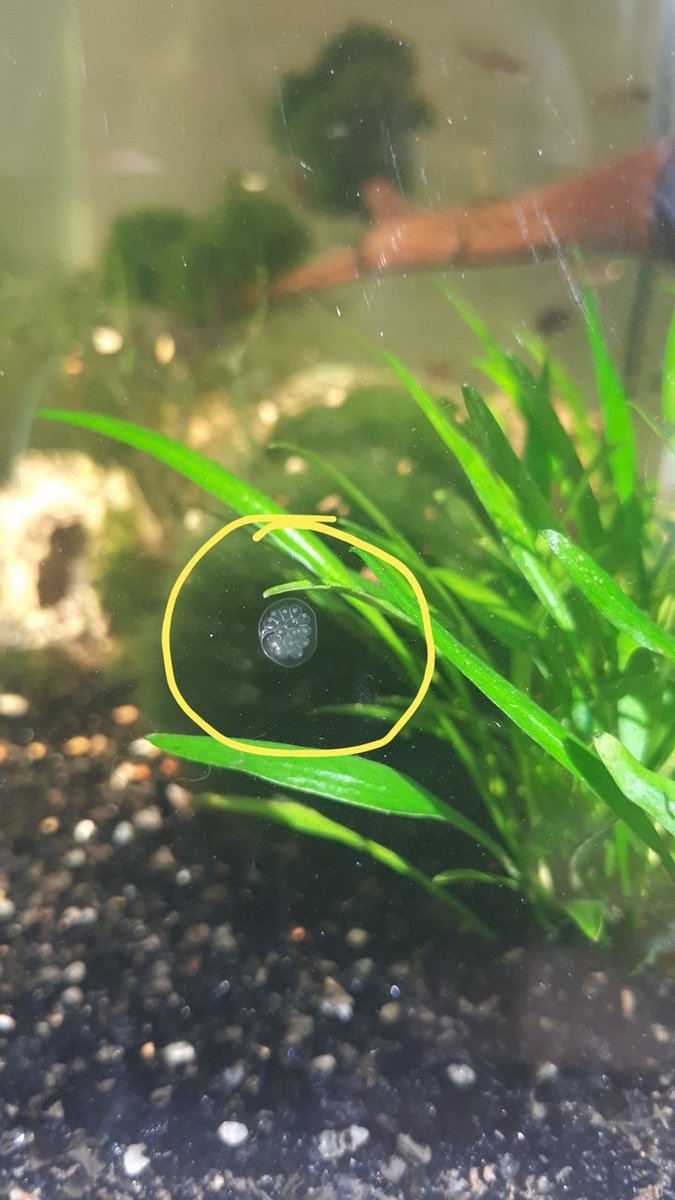 20190329_091741.jpg