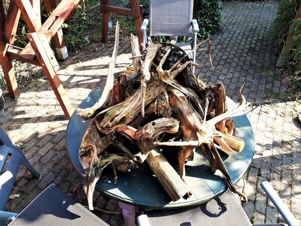20190329_145256.jpg