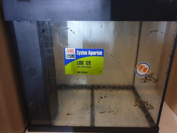 20190329_202453.jpg