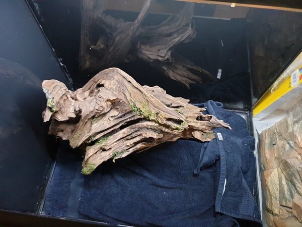 20190330_153402.jpg
